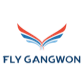 Fly Gangwon