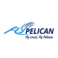 FlyPelican Airlines